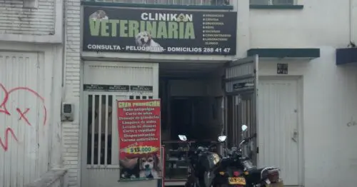 CLINICA VETERINARIA CLINIKAN CLINICA VETERINARIA CLINIKAN